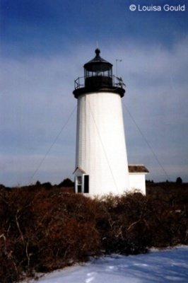 Louisa Gould - Marthas Vineyard