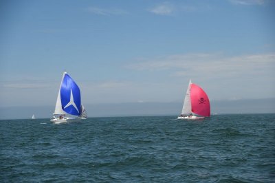 Louisa Gould - Vineyard Cup 2017