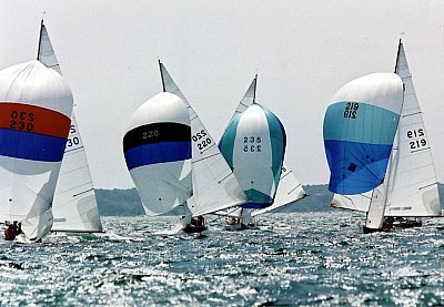 Louisa Gould - Sailboats Racing