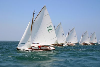 Louisa Gould - Edgartown  Regatta