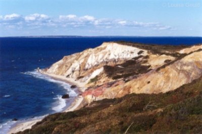 Louisa Gould - Marthas Vineyard