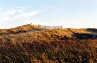 Louisa Gould - Marthas Vineyard