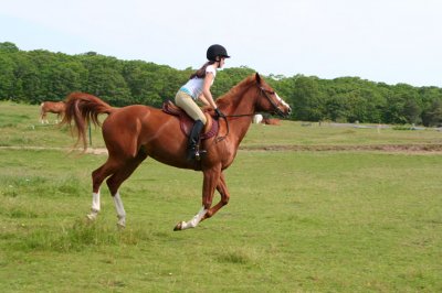 Louisa Gould - Horse Riding 2006