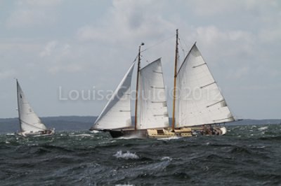 Louisa Gould - Moffett Race 2012