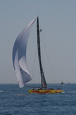 Louisa Gould - Louis Vuitton Cup 2007