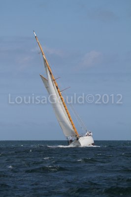 Louisa Gould - Moffett Race 2012