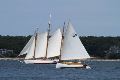 Louisa Gould - Pat West Race 2019