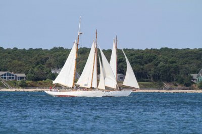 Louisa Gould - Pat West Race 2019