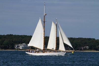 Louisa Gould - Pat West Race 2019