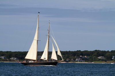 Louisa Gould - Pat West Race 2019