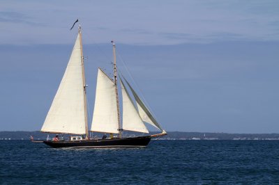 Louisa Gould - Pat West Race 2019