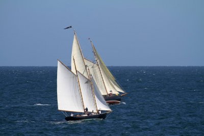 Louisa Gould - Pat West Race 2019