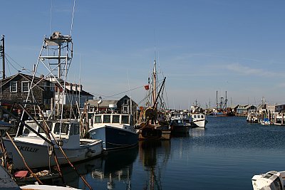 Louisa Gould - Menemsha