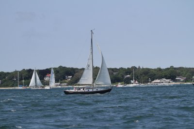 Louisa Gould - Vineyard Cup 2014