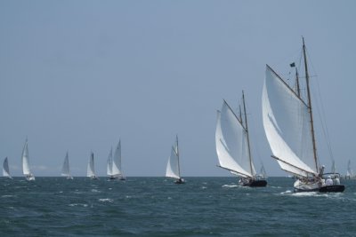 Louisa Gould - Vineyard Cup 2014