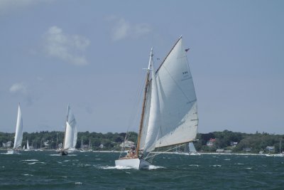 Louisa Gould - Vineyard Cup 2014