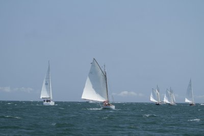 Louisa Gould - Vineyard Cup 2014