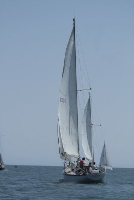 Louisa Gould - Vineyard Cup 2014