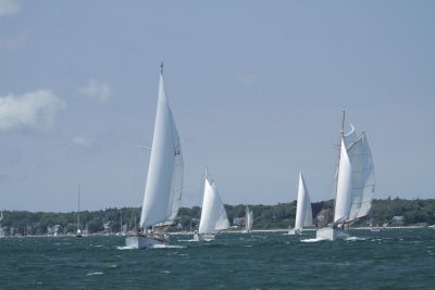 Louisa Gould - Vineyard Cup 2014