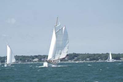 Louisa Gould - Vineyard Cup 2014