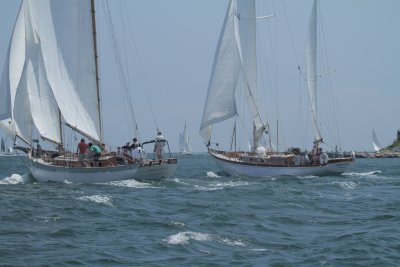 Louisa Gould - Vineyard Cup 2014