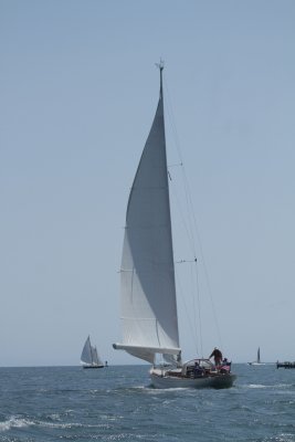 Louisa Gould - Vineyard Cup 2014