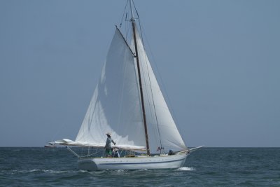 Louisa Gould - Vineyard Cup 2014