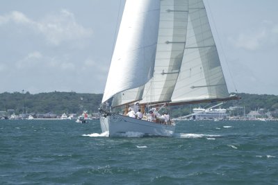 Louisa Gould - Vineyard Cup 2014