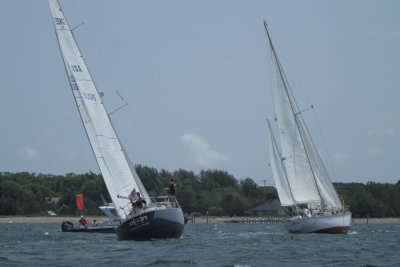 Louisa Gould - Vineyard Cup 2014