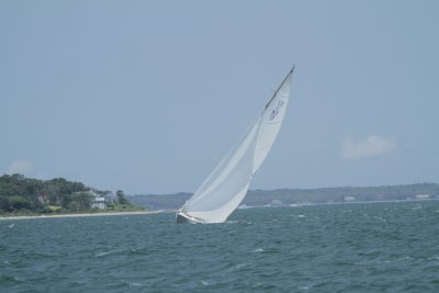 Louisa Gould - Vineyard Cup 2014