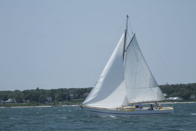 Louisa Gould - Vineyard Cup 2014