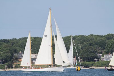 Louisa Gould - Vineyard Cup 2018