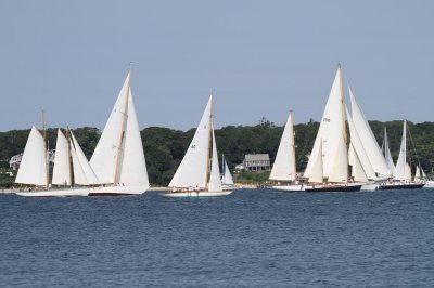 Louisa Gould - Vineyard Cup 2018