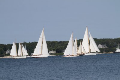 Louisa Gould - Vineyard Cup 2018