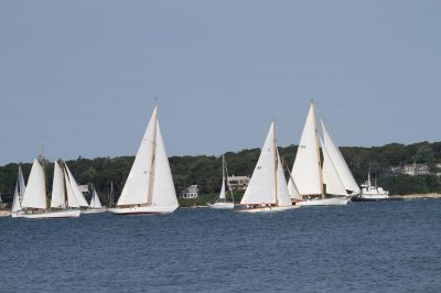 Louisa Gould - Vineyard Cup 2018