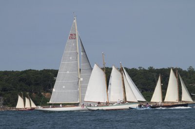 Louisa Gould - Vineyard Cup 2018