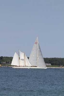 Louisa Gould - Vineyard Cup 2018