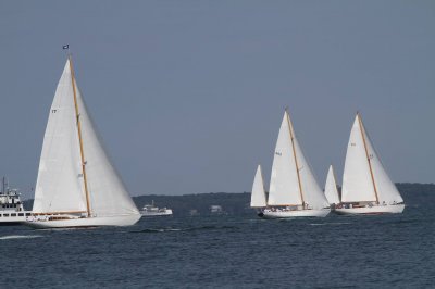 Louisa Gould - Vineyard Cup 2018