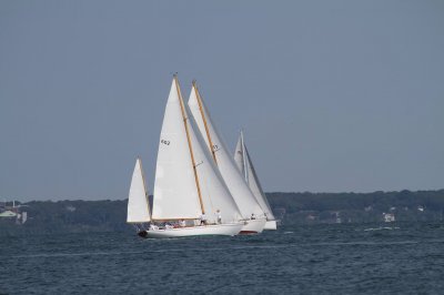 Louisa Gould - Vineyard Cup 2018