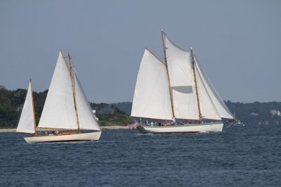 Louisa Gould - Vineyard Cup 2018