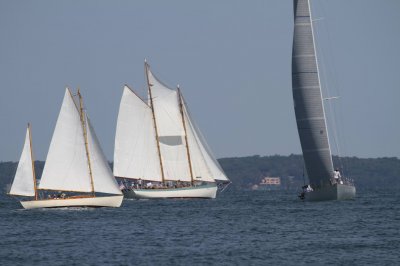 Louisa Gould - Vineyard Cup 2018