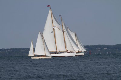 Louisa Gould - Vineyard Cup 2018