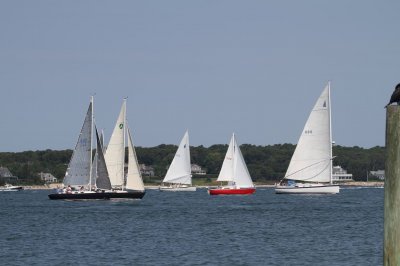 Louisa Gould - Vineyard Cup 2018