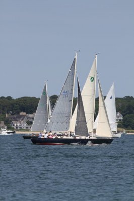 Louisa Gould - Vineyard Cup 2018