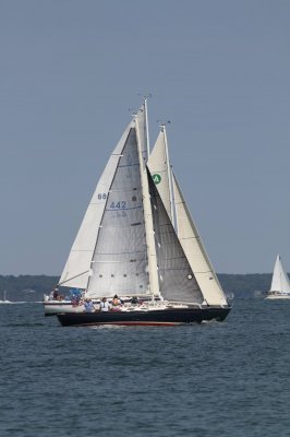 Louisa Gould - Vineyard Cup 2018