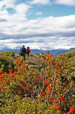 Louisa Gould - Hiking