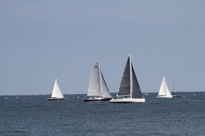 Louisa Gould - Vineyard Cup 2018