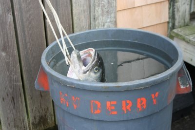 Louisa Gould - Fishing Derby 07