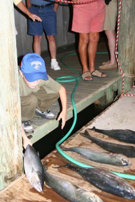 Louisa Gould - Fishing Derby 07