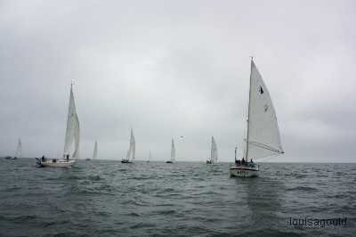 Louisa Gould - Vineyard Cup 2009